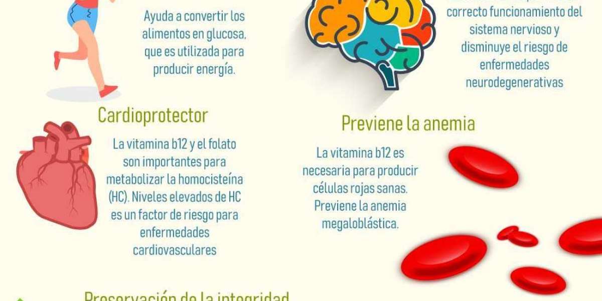 10 Beneficios del té de romero, para qué sirve y cómo prepararlo