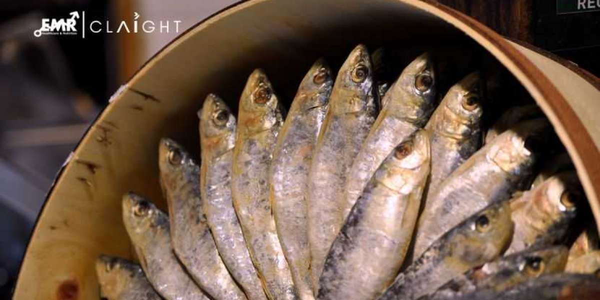 Canned Sardine Manufacturing Plant Project Report 2025 Edition