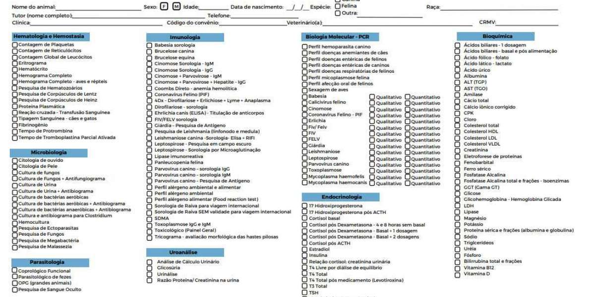 How to Read PET Scan Results: FDG Uptake, SUV and More